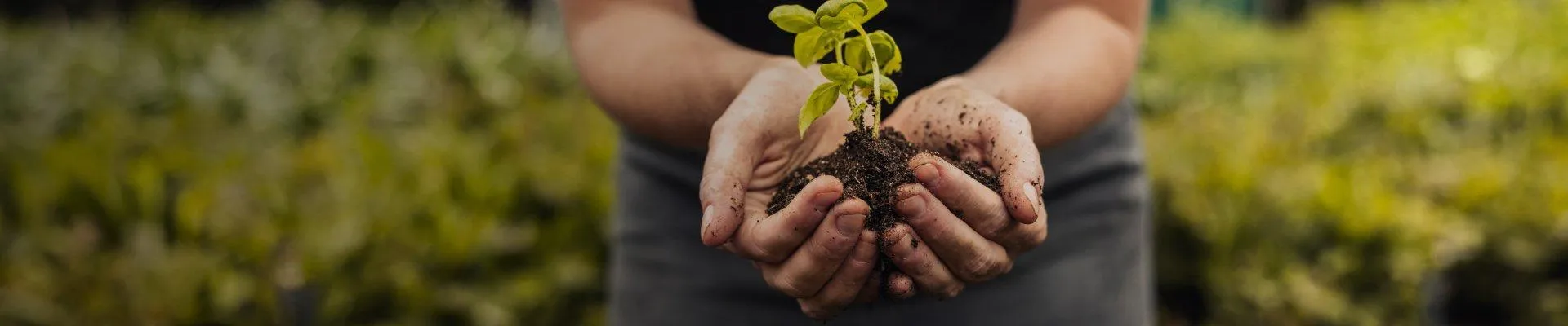 FARMÁRČENIE BUDÚCNOSTI, UŽ DNES!