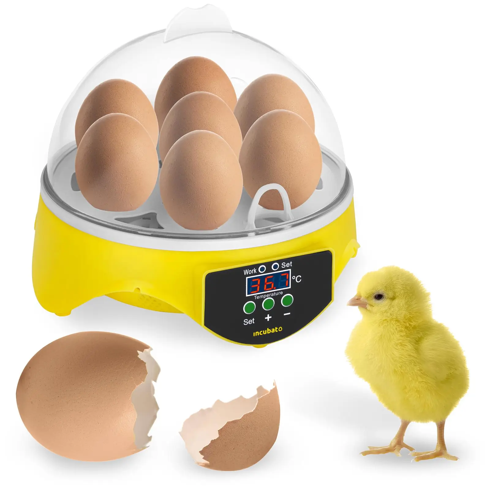 Umelá liaheň na vajcia - 7 vajec - vrátane presvetľovačky